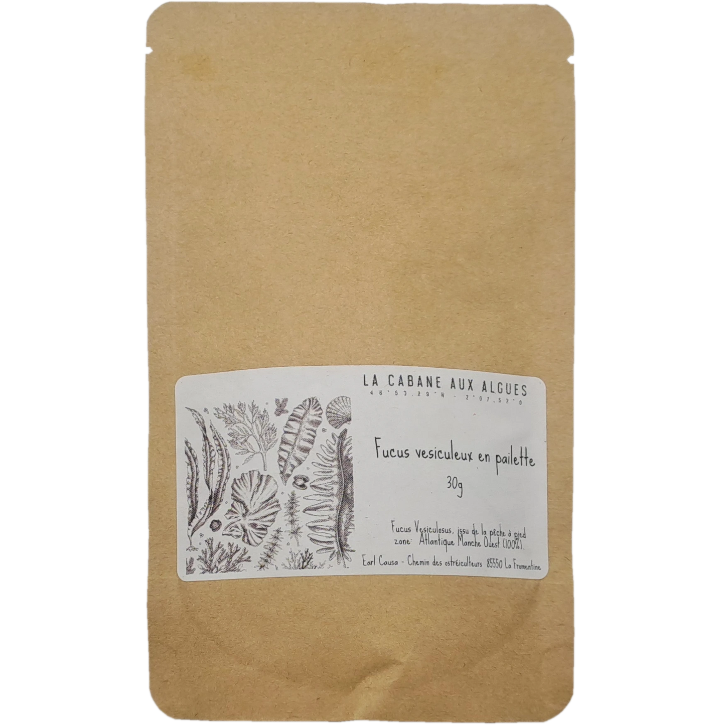 Fucus paillettes