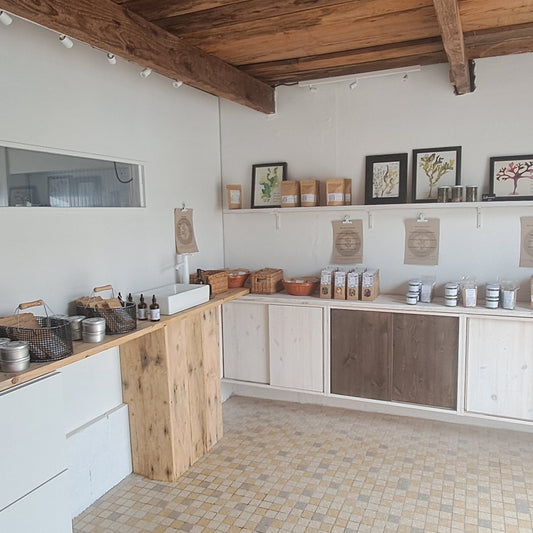 Un nouveau chapitre : l’ouverture de la boutique
